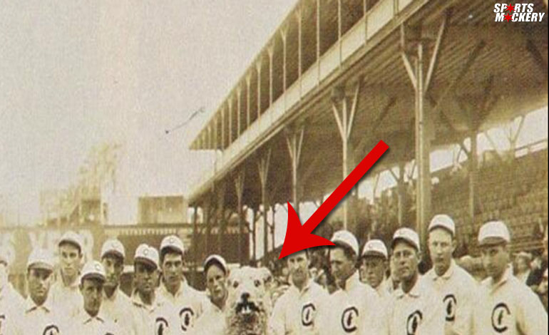 The Chicago Cubs Mascot From 1908 Is The Creepiest Thing