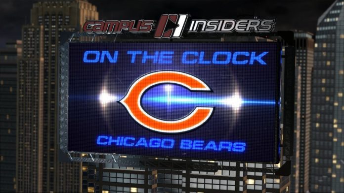 chicago bears