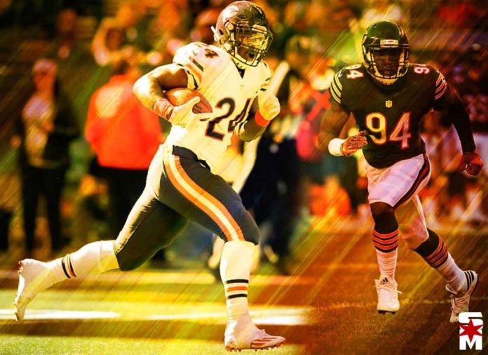 chicago bears