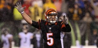 a.j. mccarron bears