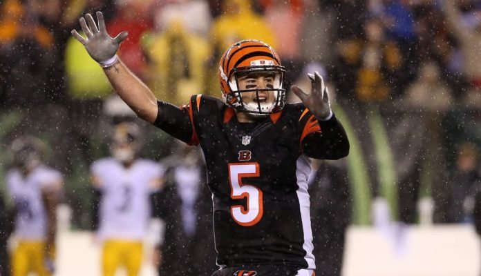 a.j. mccarron bears