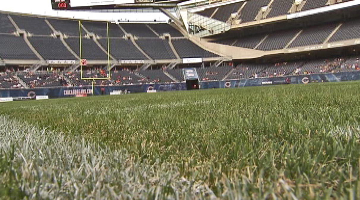 Soldier Field's grass surface is once again a talking point for Bears, NFL