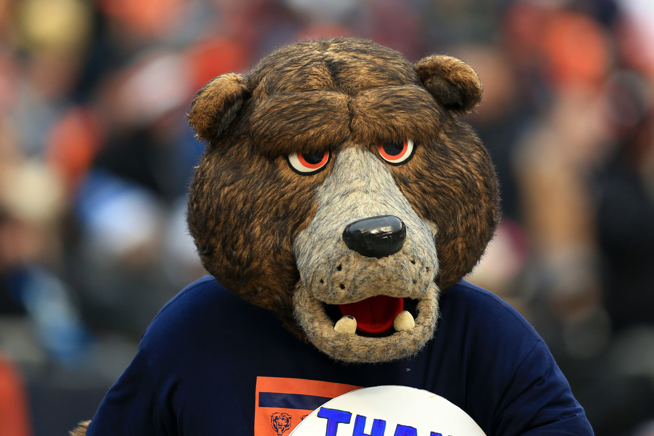 Chicago Bears Sports Mockery