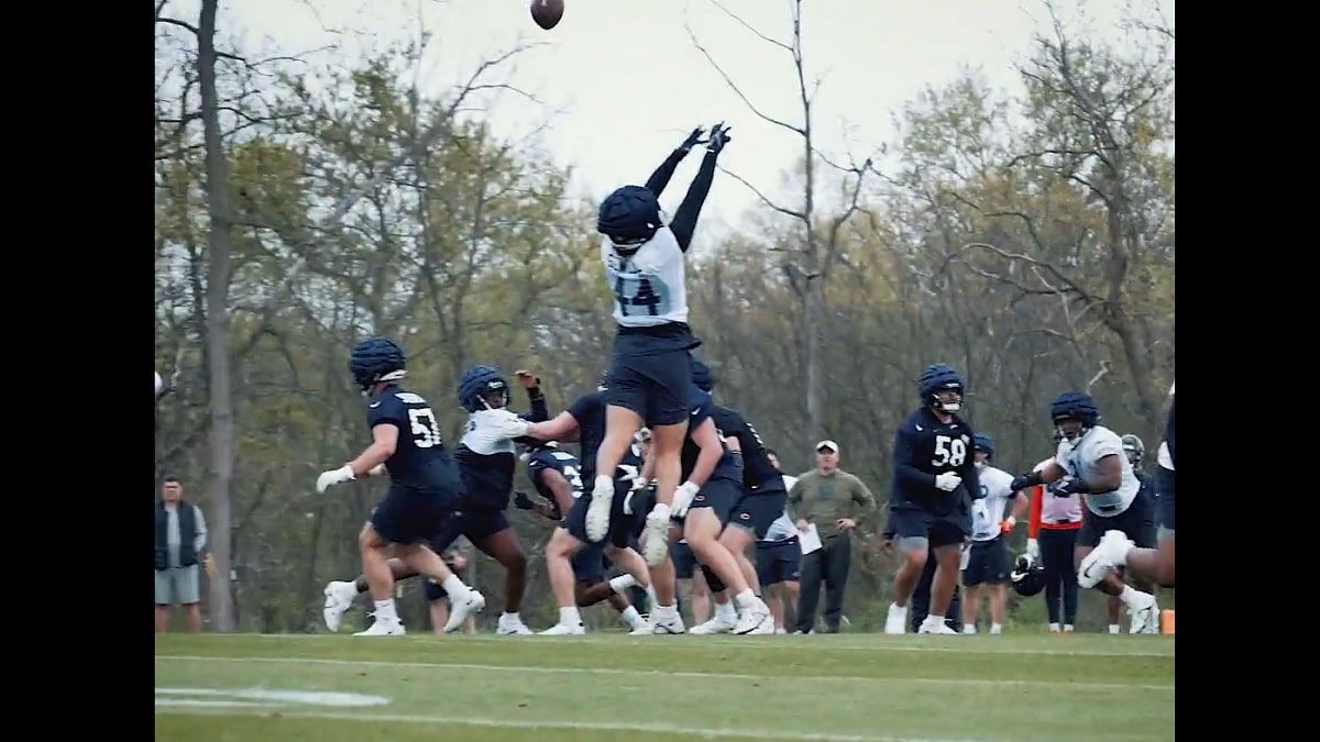 Just Another Year Chicago: Bears on X: The Chicago #Bears have signed 6'5,  260lb TE Sammis Reyes. Big, fast, and athletic. Could be a sleeper signing.   / X