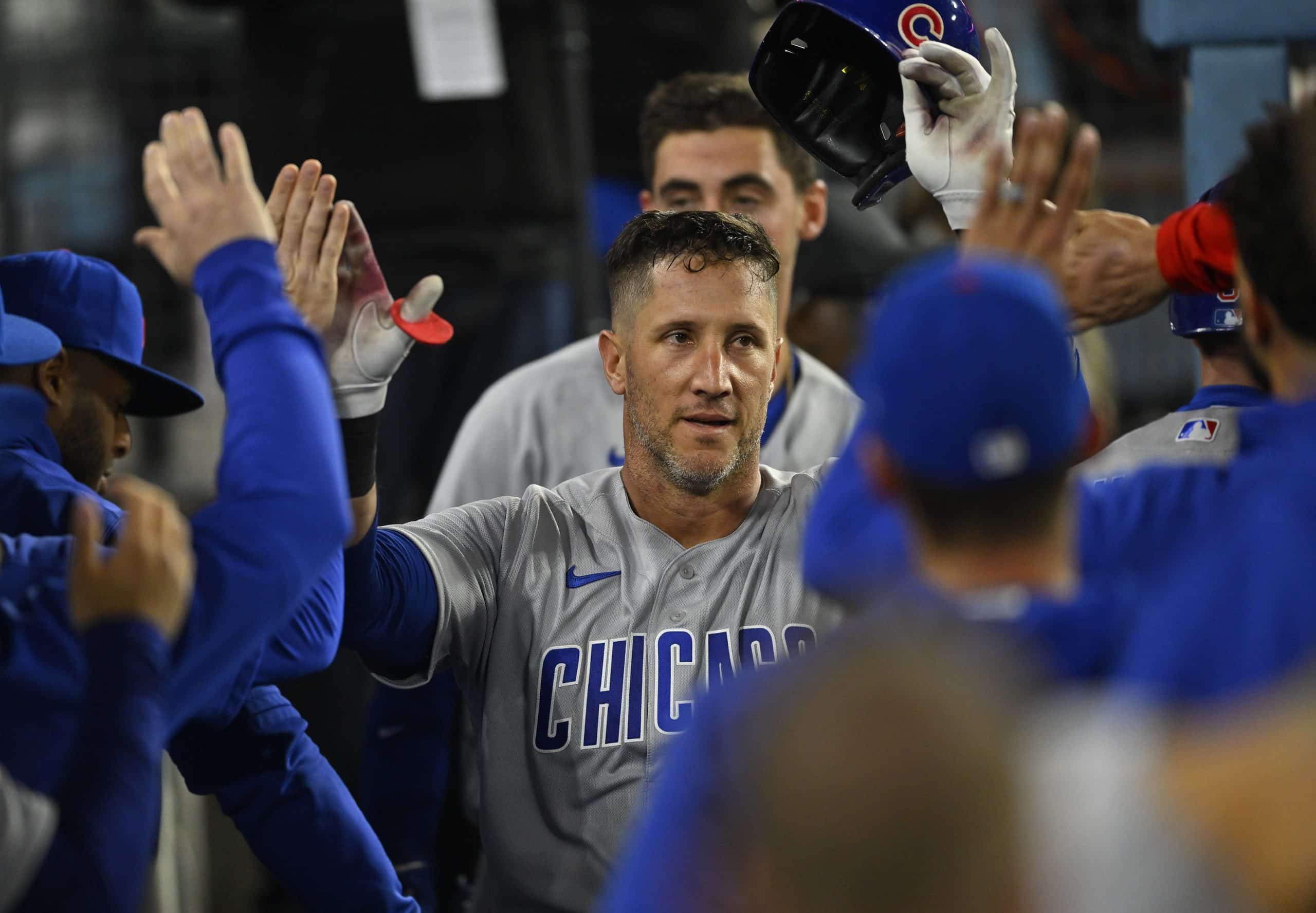 Cubs activate Yan Gomes, option Miguel Amaya before series finale vs.  Cardinals - Chicago Sun-Times